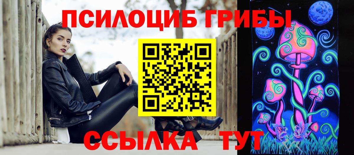 Лениногорск  Галлюциногенные грибы Psilocybe  Вход с VPN  цена наркотик  Псилоцибиновые грибы MAGIC MUSHROOMS 